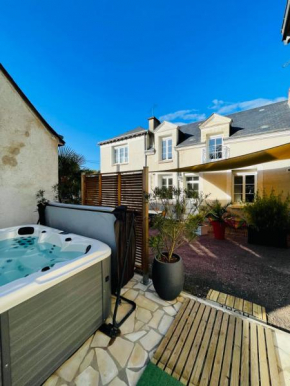 Luxury Villa with SPA 10 min from the center of Amboise for 10 people